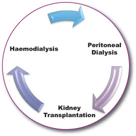 Renal Replacement Cycle